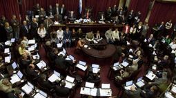 El Senado convirtió en ley el Presupuesto 2014