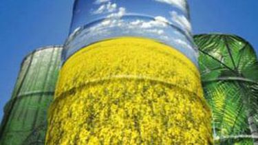 Crece la perspectiva de crecimiento de la producción de biocombustible en el país