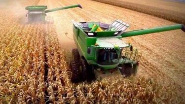 La cosecha de maíz podría llegar a las 35,5 millones de toneladas en el 2017