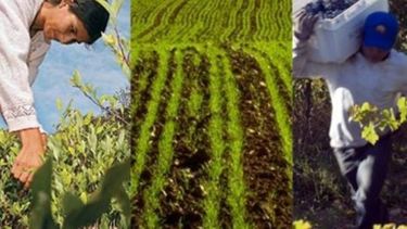 Productores reclaman la emergencia de economías regionales