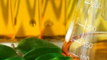 En Estados Unidos anticipan un aumento de la producción de biodiésel argentino