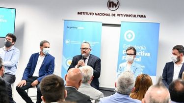 Analizaron nuevas medidas para impulsar al sector vitivinícola