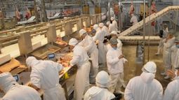 La industria frigorífica vacuna alcanzó 10 meses consecutivos de contracción