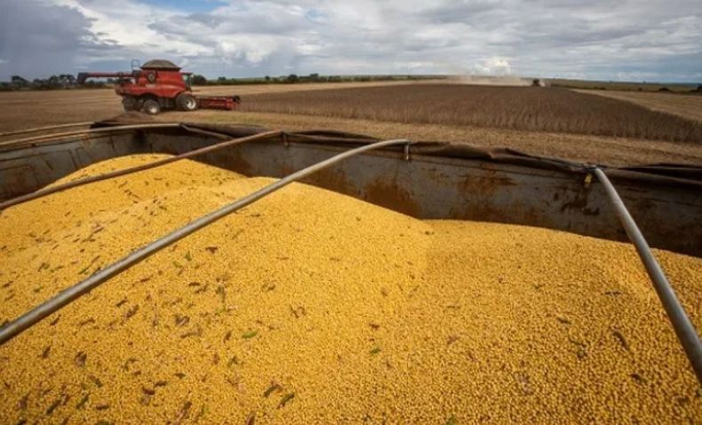 USDA moderó su pronóstico sobre la cosecha argentina de soja y maíz