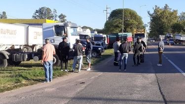 Productores porcinos piden garantizar el transporte de insumos