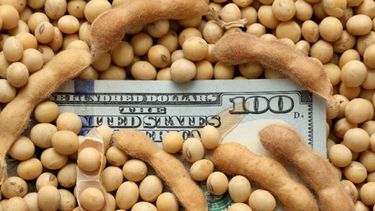 Calculan que los ingresos por agroexportaciones alcanzarán los US$ 27.217 millones en 2021