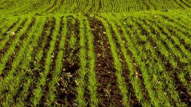 Las economías regionales sufren una "crisis profunda"