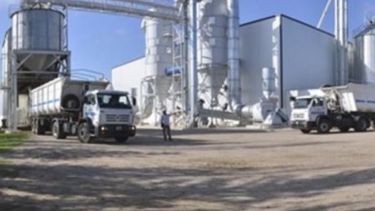 Sojeros temen represalias por aranceles al acero