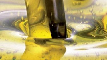 Productoras de biodiésel y bioetanol respaldaron el nuevo esquema de precios