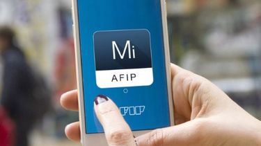 Información sobre bienes a declarar estarán en un micrositio de AFIP