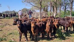 Un sector clave para el campo argentino.