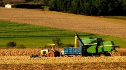 El agro fue el sector con mayor cantidad de empleos en 2018