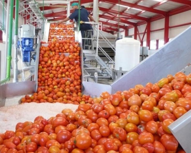 La industria alimenticia sufrió una retracción cercana al 5%