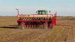 Avanza la siembra de trigo en territorio bonaerense