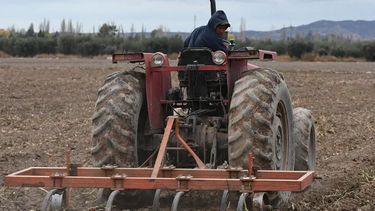 El rol de los trabajadores rurales.