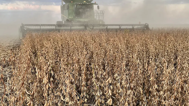 Un 74% de los productores agropecuarios cree que su situación mejorará en meses