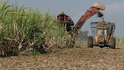 Los precios del bioetanol son actualizados mensualmente por la Secretaría de Energía.
