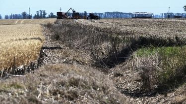 Once provincias están bajo emergencia agropecuaria