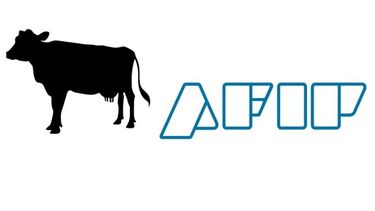 AFIP impone la obligación del remito electrónico cárnico
