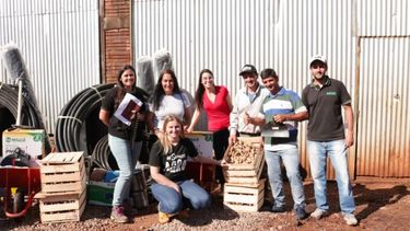 Tabacaleras misioneras cultivarán jengibre