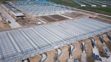 Se postergó nuevamente el traslado del Mercado de Liniers a Cañuelas