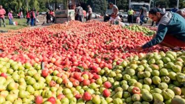 Extienden la emergencia económica para las peras y las manzanas