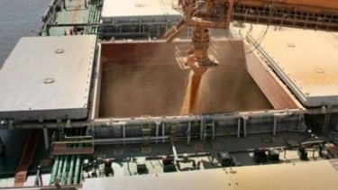 Ingreso de dólares por agroexportación bajó 38% en noviembre