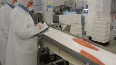 Apuntan a un crecimiento de la producción acuícola a nivel local