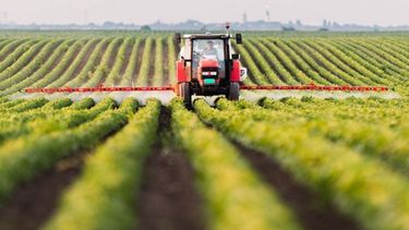 En primera persona: Emprender para el campo y no morir en el intento