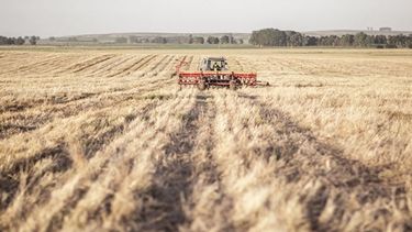 Advierten sobre un nuevo modelo de concentración en el agro