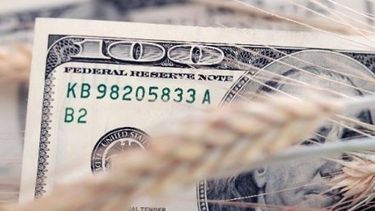 Liquidación de divisas de agroexportadores subió más de 41% en agosto