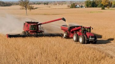 Proyectan una cosecha de soja mayor a 6 millones de toneladas en la zona núcleo