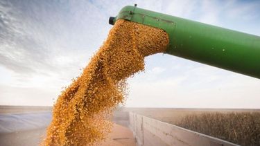 Chicago: siguen en alza los precios de los granos