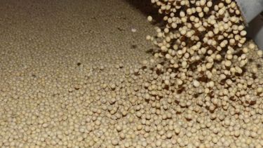 El mercado de granos luego del anuncio de los derechos de exportación