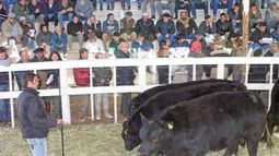 La Exposición Rural de Salta debió posponerse por la crisis del campo