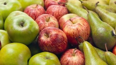 AFIP: habrá facilidades de pago para la producción de peras y manzanas