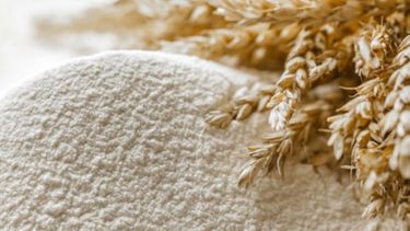 Los precios de referencia de la harina aumentaron más de 7%