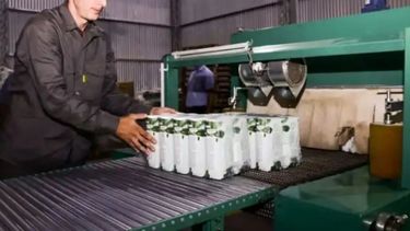 Cooperativa elaborará con eficiencia energética té verde para exportación