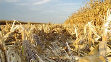 Llega un nuevo congreso de Aapresid sobre siembra directa