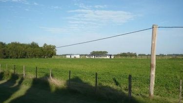 Repuntó la venta de campos ante una devaluación por la crisis