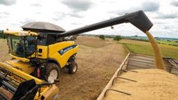 USDA estima que crecerán las reservas de soja para el ciclo 2017/18