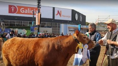 La Cotidiana y Los Ombúes se quedaron con los máximos premios de Limousin en La Rural