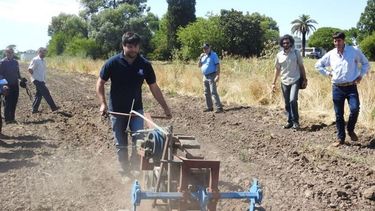 Presentan un tractor especial para la agricultura familiar