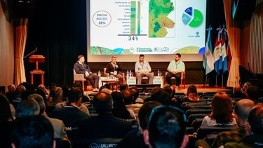 El panel de especialistas en Acsoja 2024.