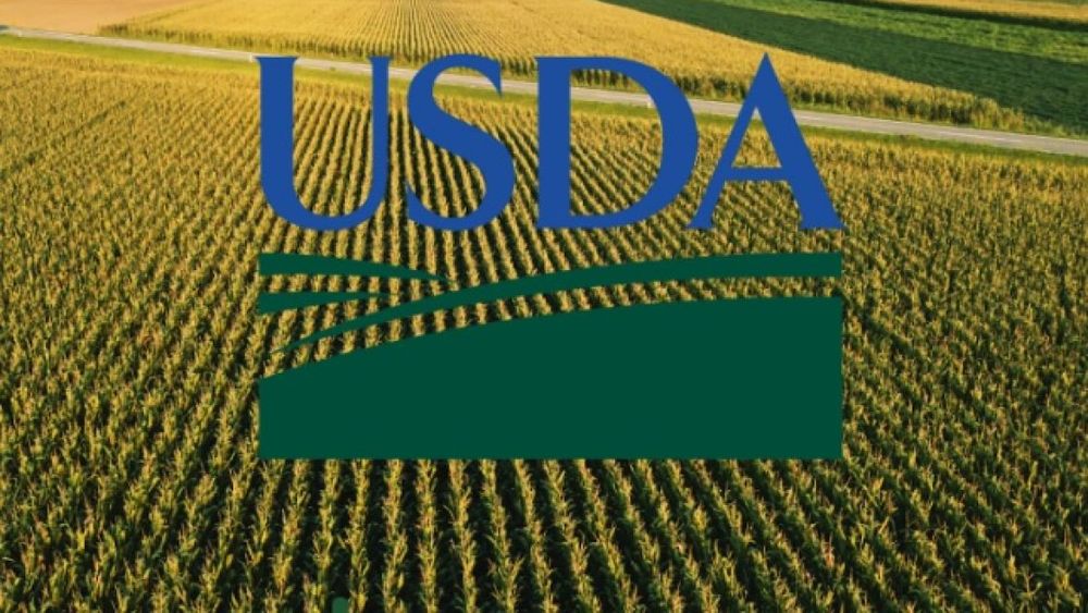 El USDA recortó nuevamente los cálculos sobre la cosecha argentina