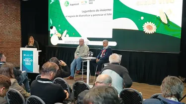 La opinión de los expertos.