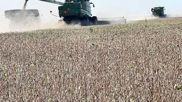 La cosecha cordobesa tendría pérdidas por US$ 7.000 millones en 2023