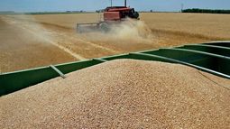 Los dólares que aporta el campo a la economía nacional.