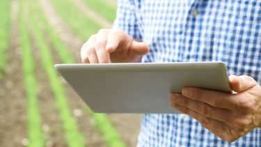 Aplicaciones digitales para dar mejor precisión al trabajo en el campo