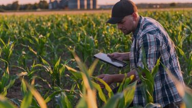 Las soluciones tecnológicas de Telecom para el campo argentino.